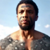 Zzzzz 1679885039tchala No Heart Shaped Herbpng — Marvel CANON Cinematic Multiverse (Release Order) option 98