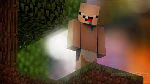 Herobrine smp collection Minecraft Collection