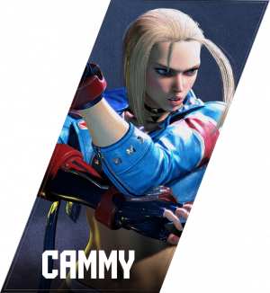 Cammy Costume Tier List (Community Rankings) - TierMaker