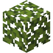 Create a Minecraft Building Blocks Tier List - TierMaker