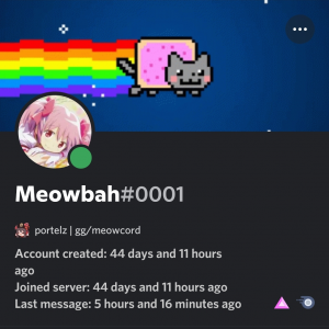 So I was in a call with MeowBah 