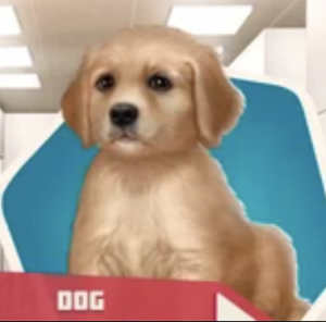 Guess the Pet Simulator X Pets! - TriviaCreator