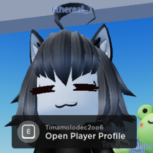 Create a ROBLOX avatars. Tier List - TierMaker