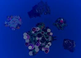 Create a Blox fruits islands sea 1 Tier List - TierMaker
