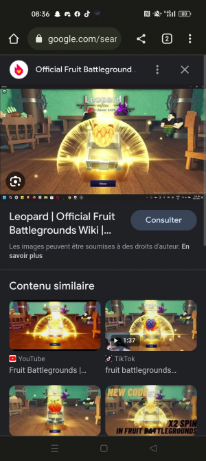 fruit battlegrounds tier list update｜TikTok Search