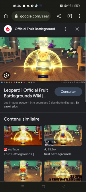 fruits battlegrounds tier list｜TikTok Search