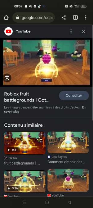 Fruit Battlegrounds - Account Ope - Good Prices ✓