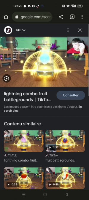 Fruit battlegrounds tier list november 2023｜TikTok Search