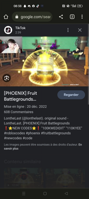 Account Phoenix Fruit [Fruit Battlegrounds]