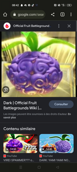 Gravity, Official Fruit Battlegrounds Wiki
