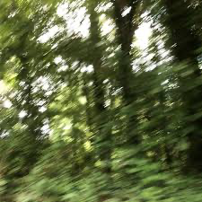 Zzzzz 1687306168img9221 — glaive songs + leaks option 81