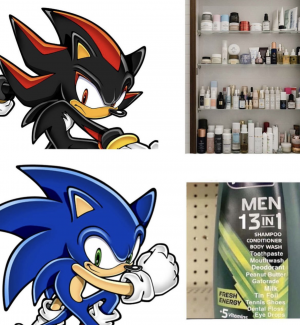 Shadow the Hedgehog Memes 