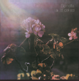 Captura De Pantalla 2023 07 15 161659 — Charly, Spinetta, Fito, Cerati, Calamaro option 47