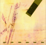 Captura De Pantalla 2023 07 15 163318 — Charly, Spinetta, Fito, Cerati, Calamaro option 93