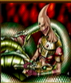 yugioh duelist of the roses best deck leader Yu-Gi-Oh! : Structure Decks (1)
