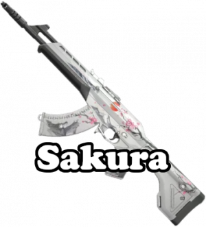 Valorantinfo - Sakura Collection