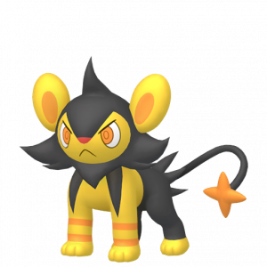 Zzzzz 1696885877pokecapture0404000mdn00000000fr — Shiny Pokemon option 509