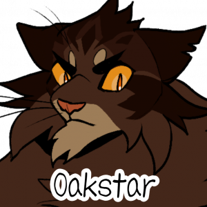 Warrior Cats - Third villain of the month: Sol Against the popular  choiceSol has to be my third favorite villain of the seriesto begin  with I'm an atheist so I just adore