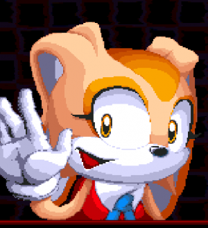 Sonic.exe The Disaster 2D Remake Multiplayer [Sonic.exe and