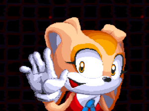 Tails Guide  Sonic.exe The Disaster 2D Remake 