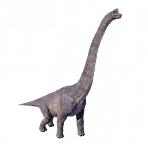 Triceratops, DinoDB