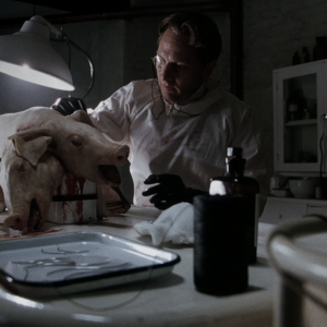 Captura De Pantalla 658 — AHS Characters (S1-12) option 13