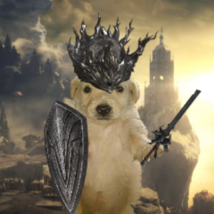 Chiken — DS3 PvP Players option 12