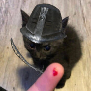 Yungpk — DS3 PvP Players option 90