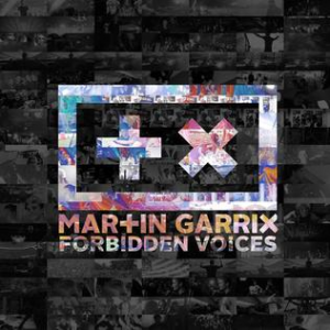 Forbiddenvoicesmartingarrix — Martin Garrix Tierlist option 53