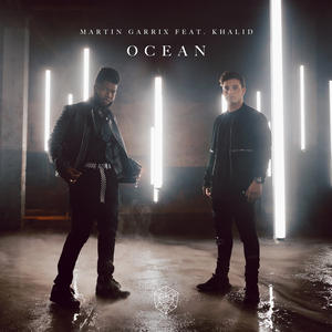 Martingarrixocean — Martin Garrix Tierlist option 68