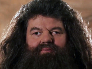 1560087383 Hagrid — Celestin à Poudlard option 11