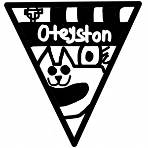 Zzzzz 1687034814oteystonneu — ALLE Wuffaball Teams (Updated) siu option 87