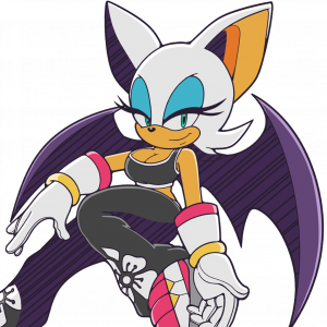 Sonic Riders TE