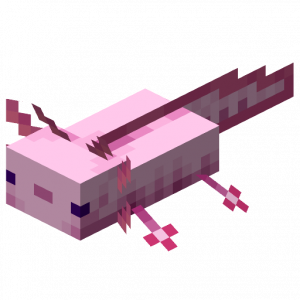 Axolotyl — Every Minecraft Mob option 4