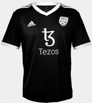Team Vitality X Nairone Defives Csgo Jersey Front And Back — Maillots Team Vitality option 27