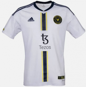 Tlchargement 13 — Maillots Team Vitality option 31