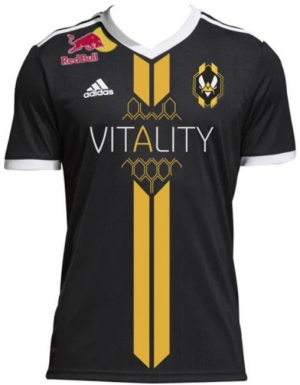 Tlchargement 2 — Maillots Team Vitality option 6