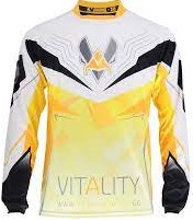 Tlchargement — Maillots Team Vitality option 2
