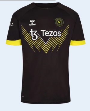 Zzzzz 172440345920240823105452 — Maillots Team Vitality option 35
