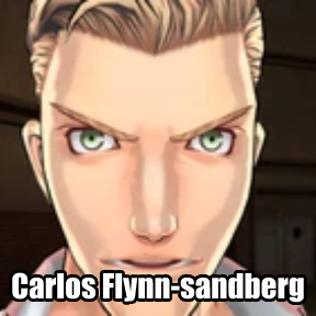 3dnac Carlos Flynn Sandberg — All Q&Ampaign PCs option 1