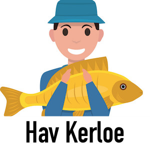 Ag Hav Kerloe — All Q&Ampaign PCs option 19