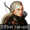 Qna Elfbat Yakopo — All Q&Ampaign PCs option 102