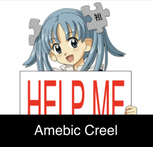 Zzzzz 1692773088top Amebic Creel — All Q&Ampaign PCs option 146