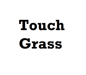 touchgrass #terminallyonline #slang #genz #genzslang #generationz #ur