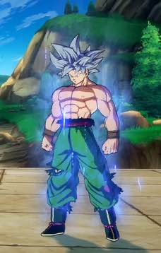 Zzzzz 166465413339a39049 1248 4b65 A63d 23a918d09c19jpeg — DRAGON BALL FIGHTERZ ALT COLOR (SEASON 4) option 641