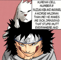 034 Kiba — All Naruto Manga Powerscaling 640+ option 29