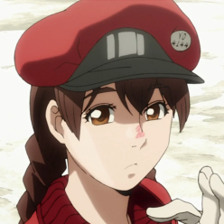 Recomendação, Hataraku Saibou 🔴