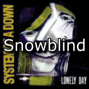 System of clearance a down snowblind