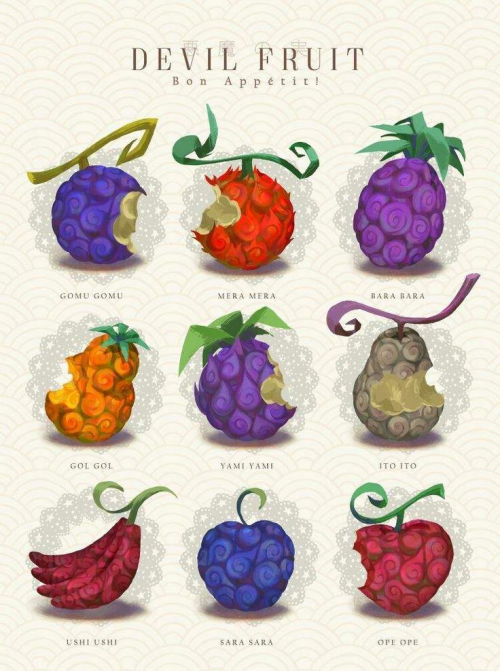 One Piece Devil Fruit Types