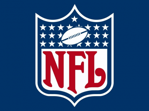 2021-2022 NFL Playoff Bracket Predictions Bracket - BracketFights